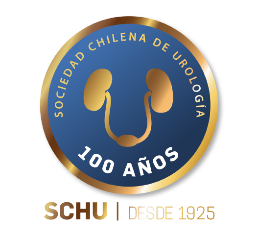 Curso Anual SCHU 2026